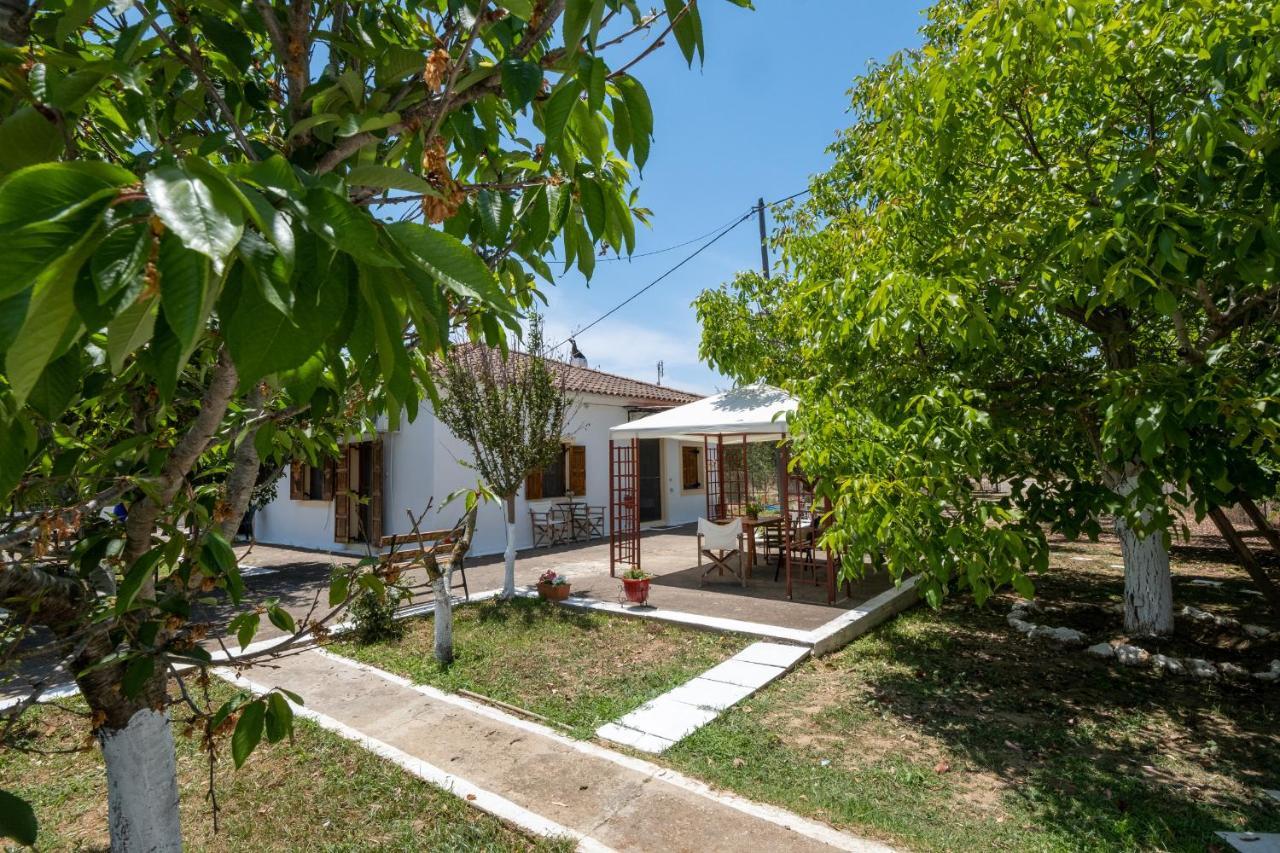Nagia'S House, Εξοχική Κατοικία Κοντά Στη Θάλασσα! Korakokhórion Buitenkant foto